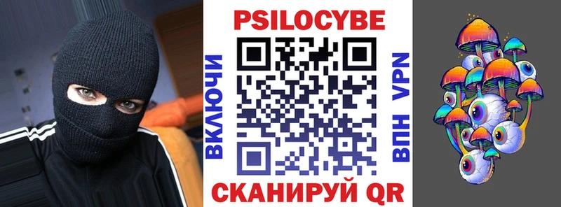 купить наркотики сайты Ужур Псилоцибиновые грибы Psilocybe